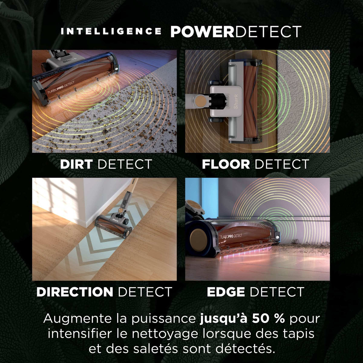 Aspirateur balai sans fil Shark PowerDetect Speed Collection Luxe Clean & Empty - Vert