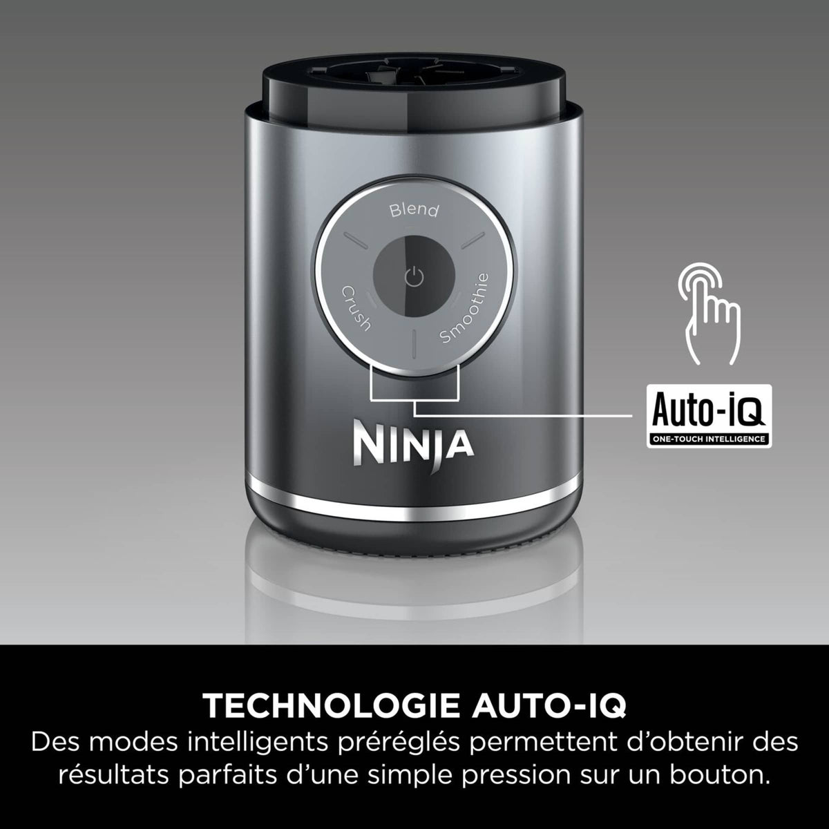 Blender portable sans fil Ninja Blast Max 570 ml - Gris