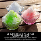 Blender portable sans fil Ninja Blast Max 570 ml - Gris