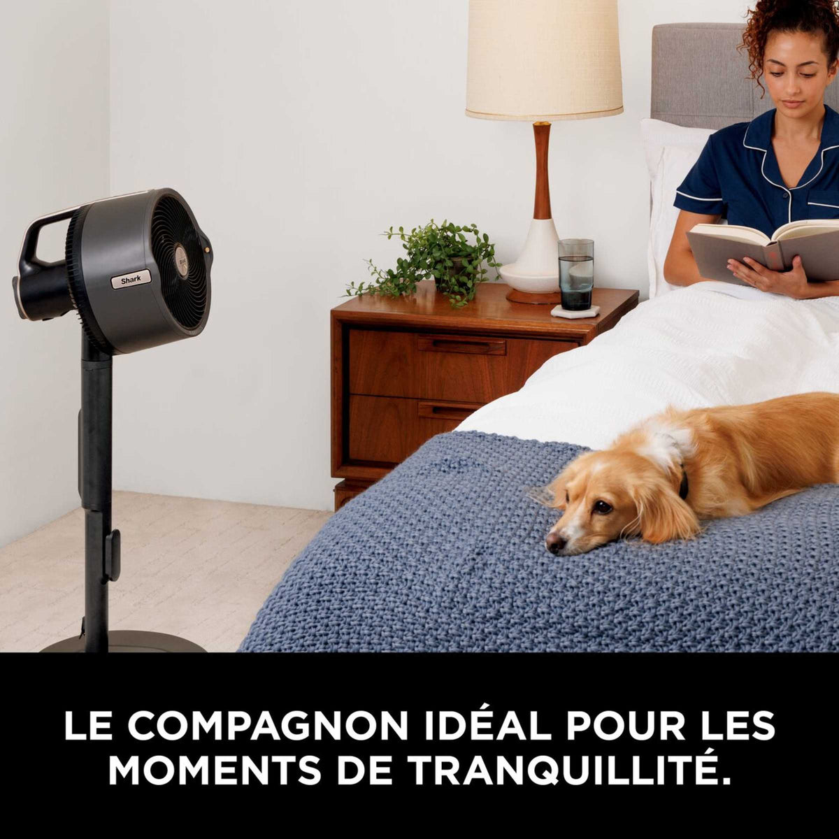 Shark FlexBreeze Pro Mist système de ventilation et de brumisation d’intérieur et d’extérieur
