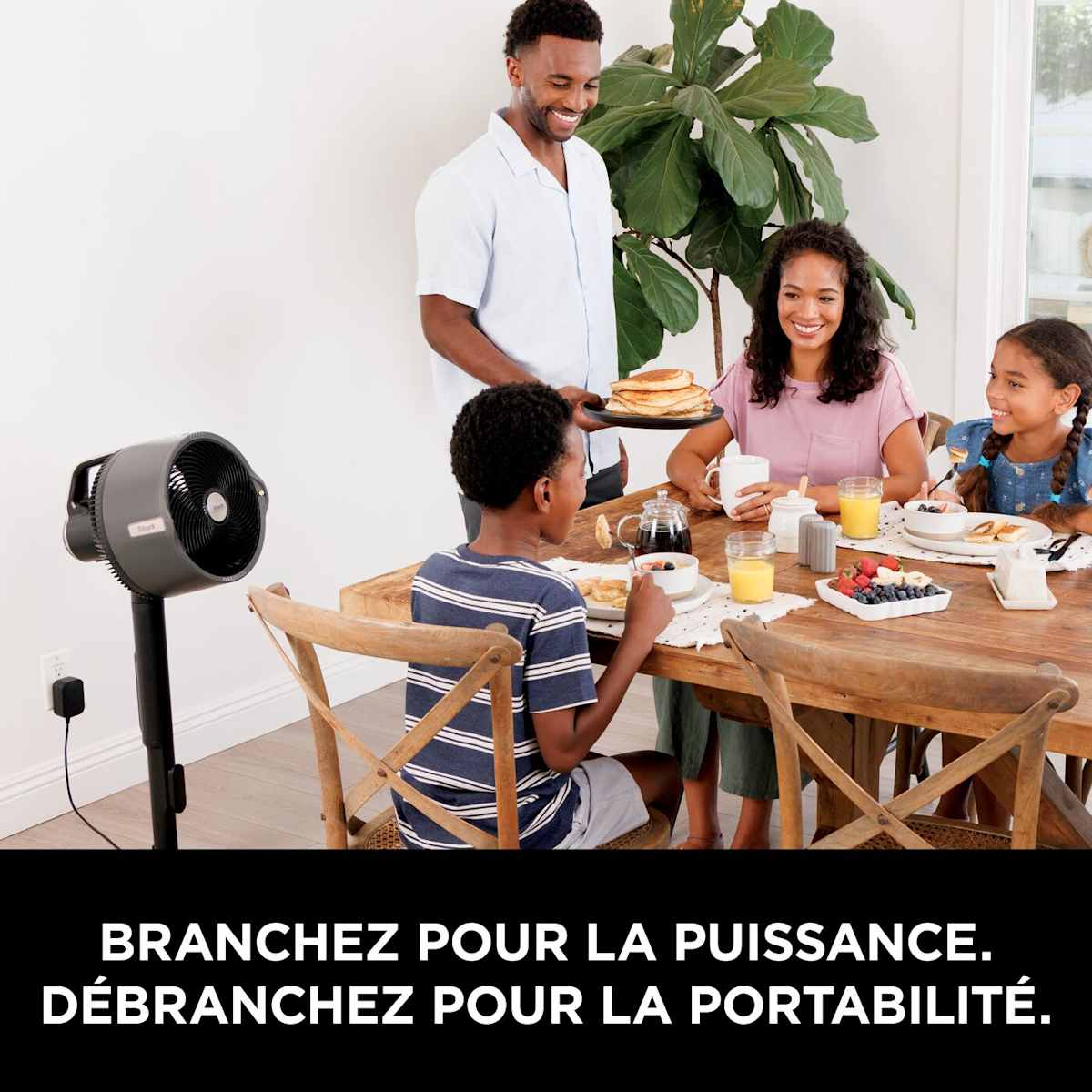 Shark FlexBreeze Pro Mist système de ventilation et de brumisation d’intérieur et d’extérieur