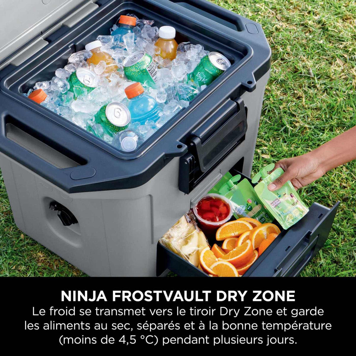 Glacière Ninja FrostVault 28 L, grise FB131EUGY