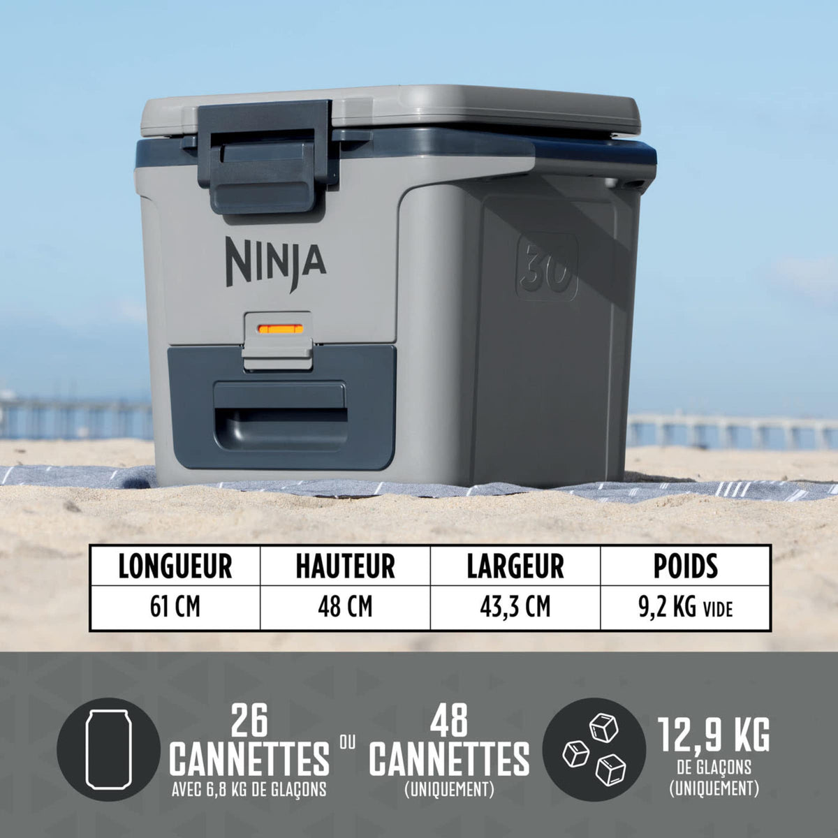 Glacière Ninja FrostVault 28 L, grise FB131EUGY