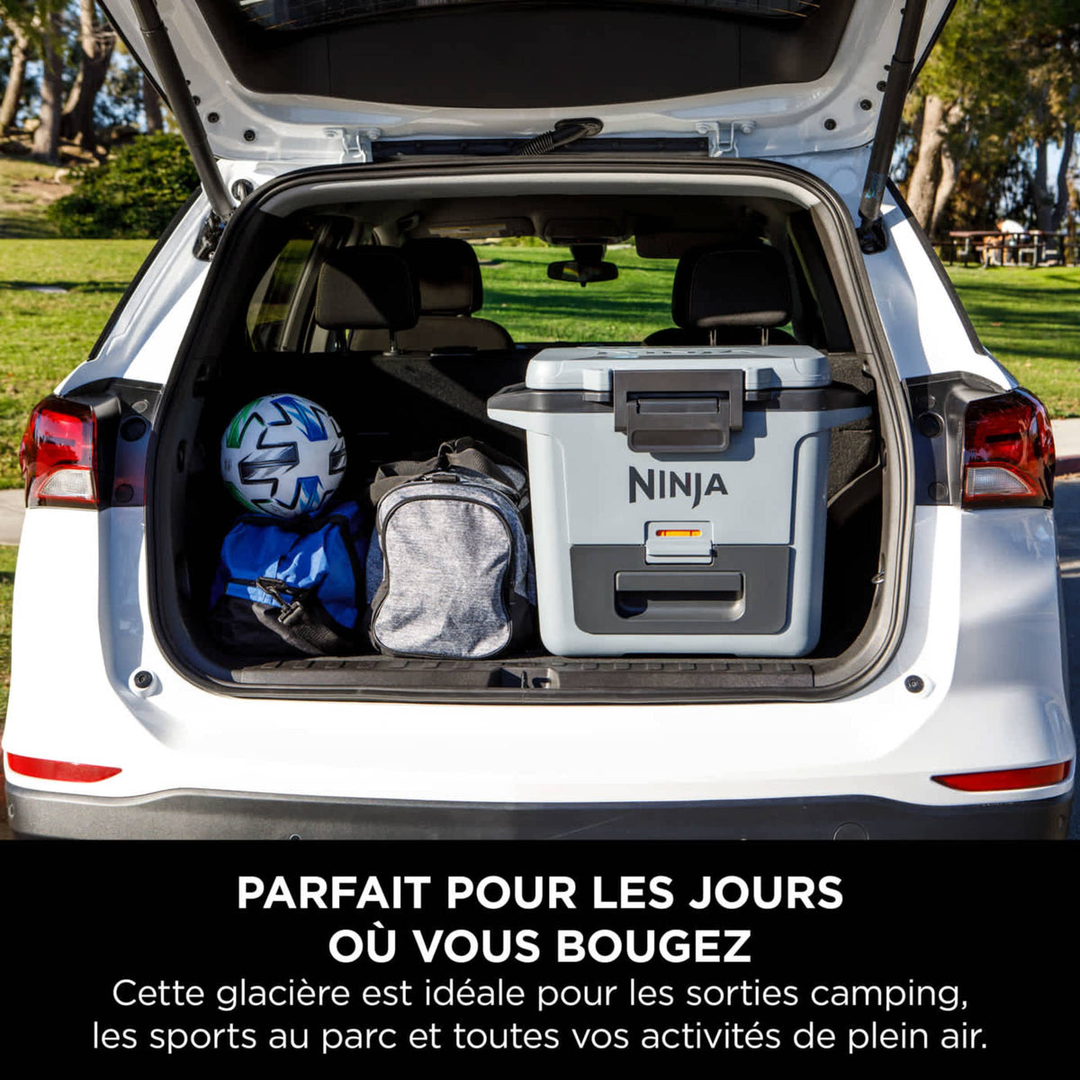 Glacière Ninja FrostVault 28 L, grise FB131EUGY
