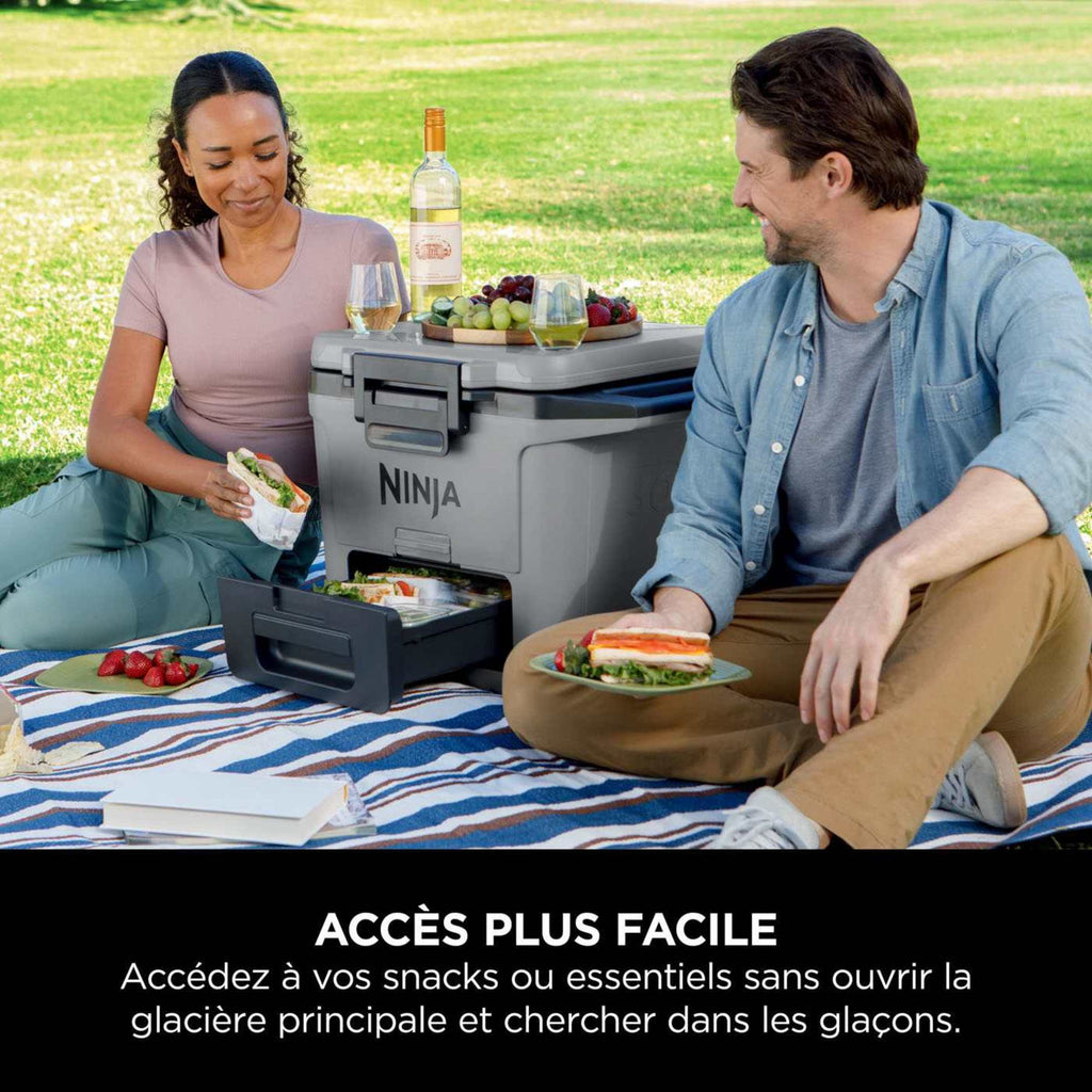 Glacière Ninja FrostVault 28 L, grise FB131EUGY