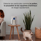Purificateur d'air Shark BreatheClear Compact avec NeverChange6, jusqu'à 28 m²​ - Beige