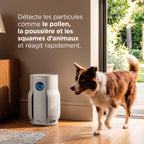Purificateur d'air Shark BreatheClear avec NeverChange6, jusqu'à 70 m²​