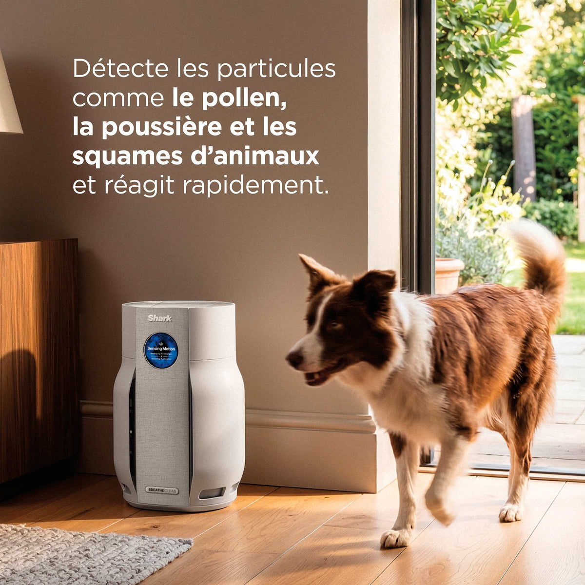 Purificateur d'air Shark BreatheClear avec NeverChange6, jusqu'à 70 m²​