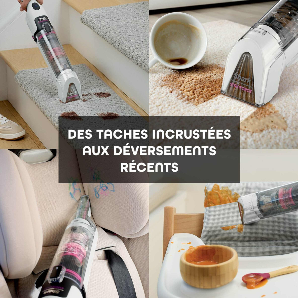 Shark StainForce - Shampouineuse Détacheur Portable Sans Fil pour Tapis, Canapé, Voiture et Tissus d'Ameublement