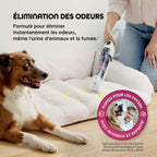 Shark StainForce - Shampouineuse Détacheur Portable Sans Fil pour Tapis, Canapé, Voiture et Tissus d'Ameublement