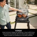 Barbecue électrique et fumoir Ninja Woodfire Pro XL avec thermosonde Smart Cook OG850EU