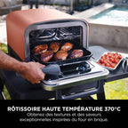 Four d'extérieur Ninja Woodfire 8-en-1 – Pizza, Grillades, Fumage et Air Fry OO101EU