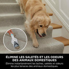 Shampouineuse détachante Shark StainStriker - Bleu