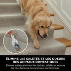 Shark StainStriker Détacheur avec pack nettoyant
