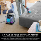 Shampouineuse Shark StainStriker Renov Expert avec pack nettoyant