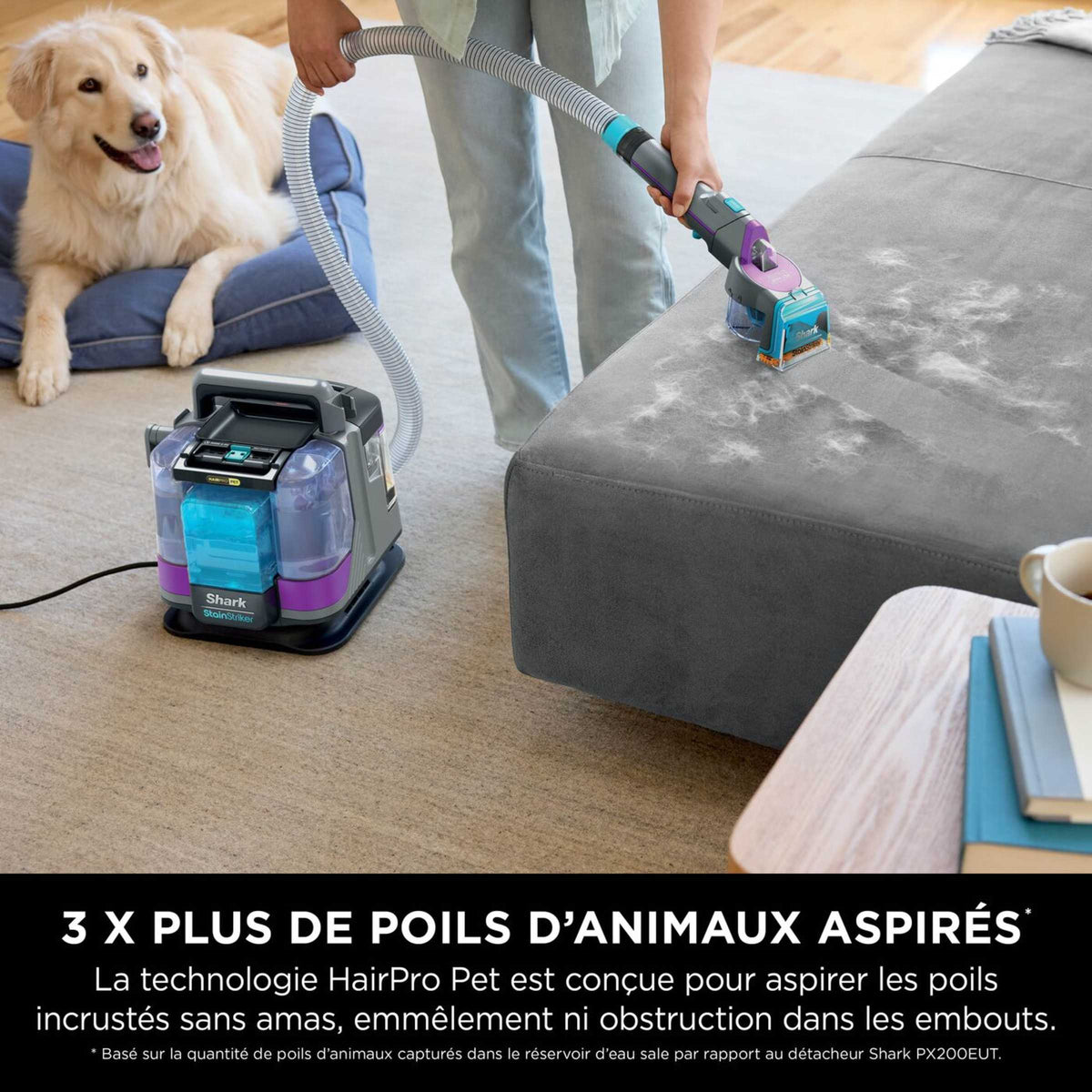 Shampouineuse Shark StainStriker Renov Expert avec pack nettoyant