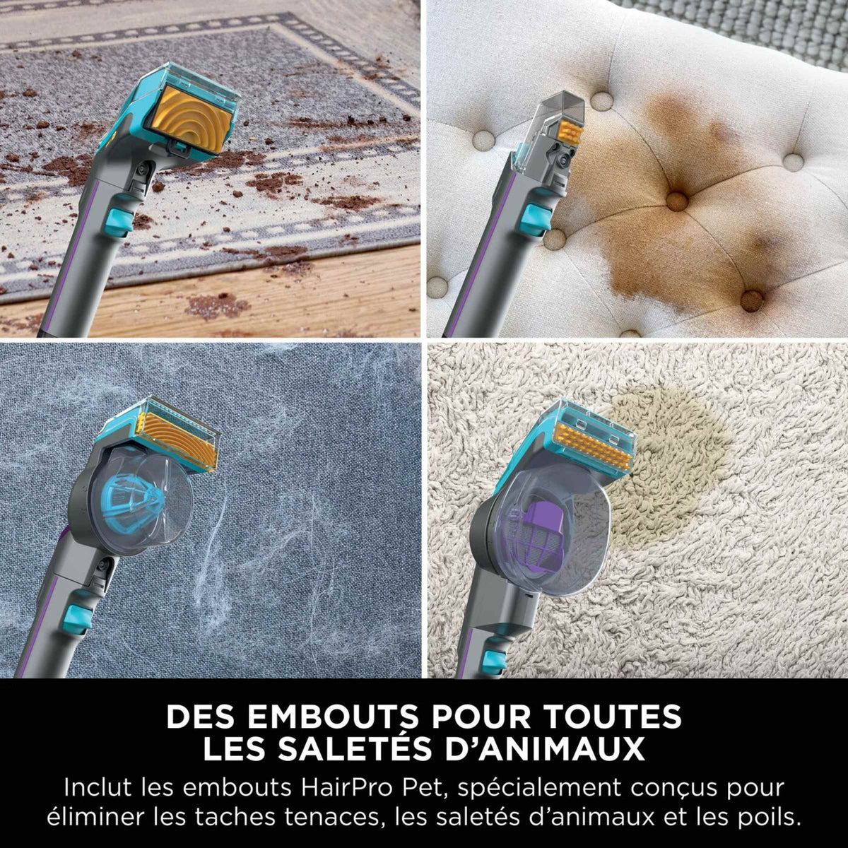 Pack Aspirateur laveur sans fil HydroVac et Détacheur HairPro Pet