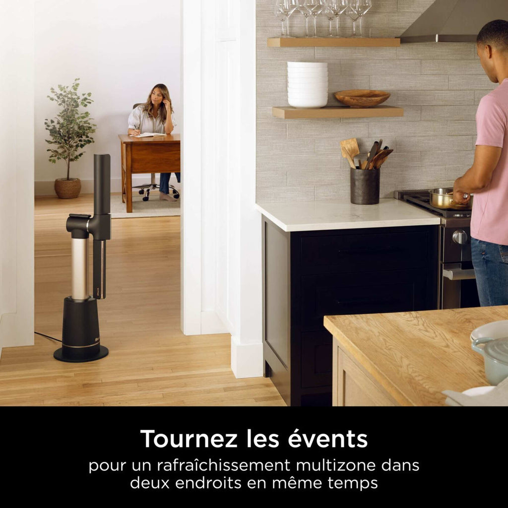 Ventilateur haute vitesse Shark TurboBlade multidirectionnel – Gris