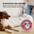 Pulvérisateur avec solution nettoyante pour détacheur StainForce