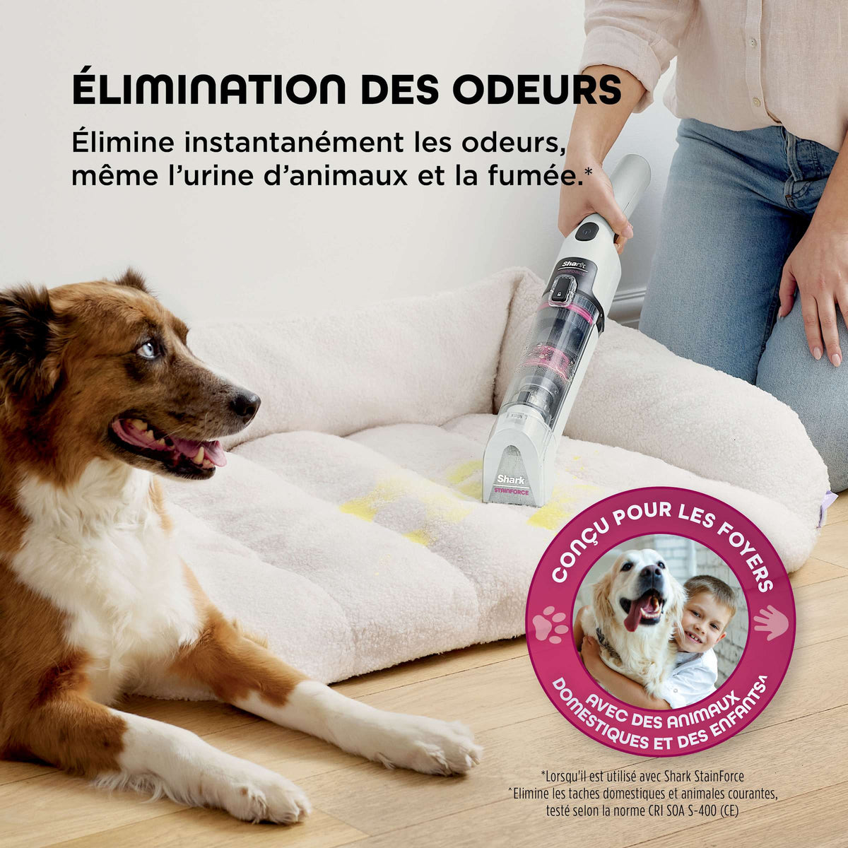 Pulvérisateur avec solution nettoyante pour détacheur StainForce